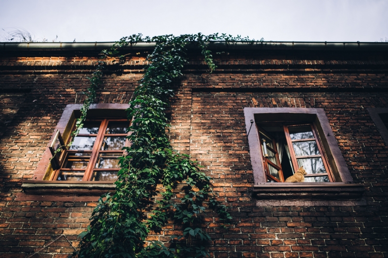 kaboompics_Old bricks buildings in Lodz, Poland.jpg 建筑参考,局部元素,外墙,