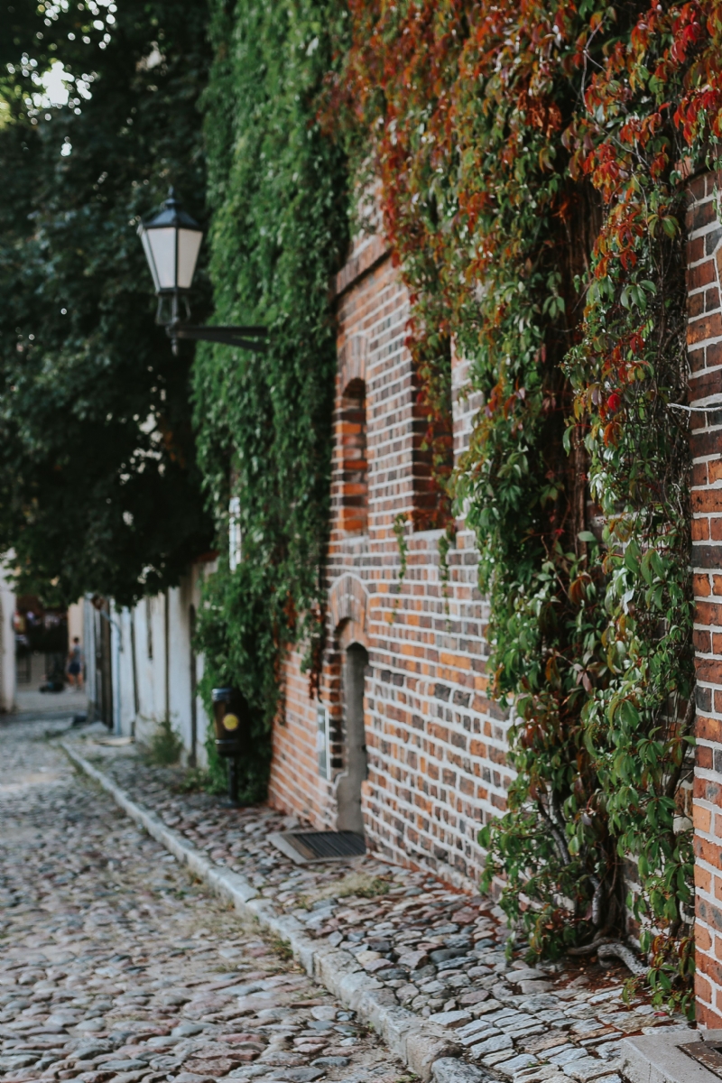 kaboompics_Old building covered in vine.jpg 建筑参考,局部元素,外墙,