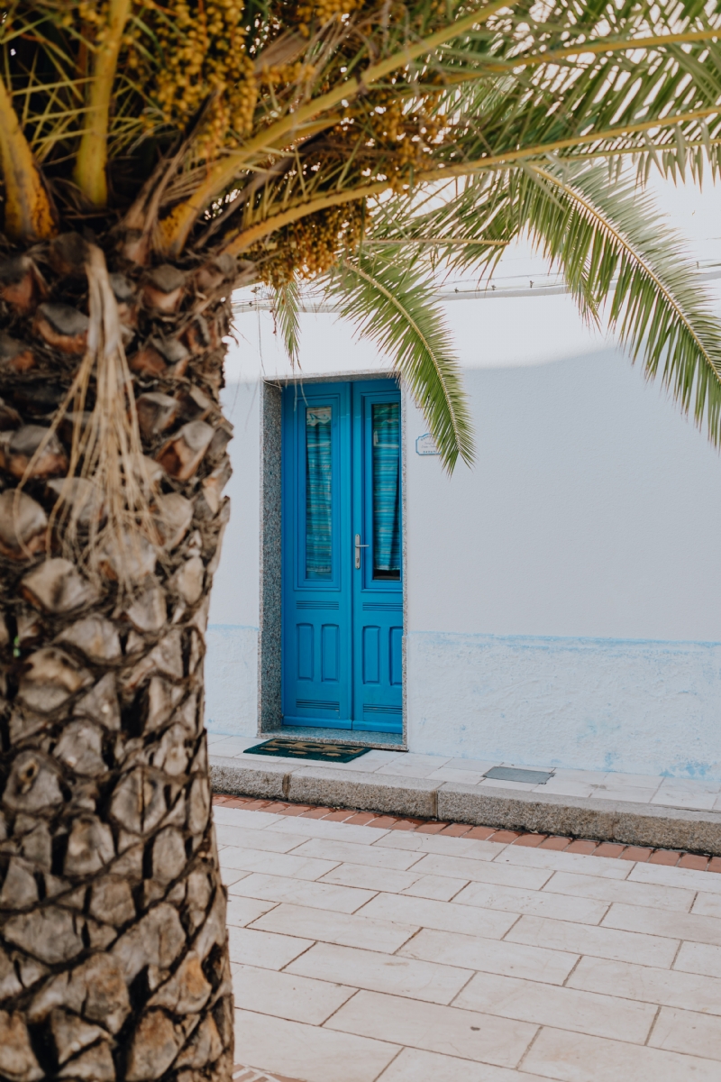 kaboompics_Palm tree in the city, blue door.jpg 建筑参考,局部元素,外墙,