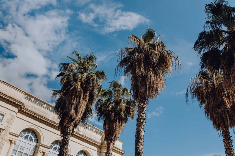 kaboompics_Palm trees and blue sky-2.jpg 建筑参考,局部元素,外墙,