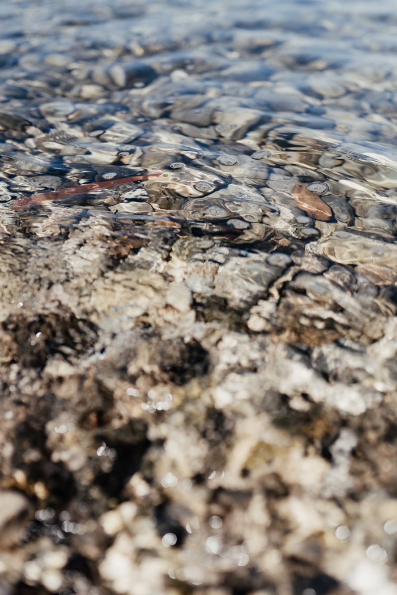 kaboompics_A close-up of stones in turquoise water, Isola, Slovenia.jpg 方案配图,色彩意境,褐色,
