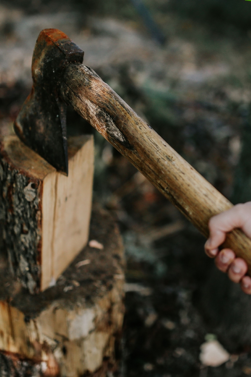 kaboompics_Chopping wood in the forest.jpg 方案配图,色彩意境,褐色,