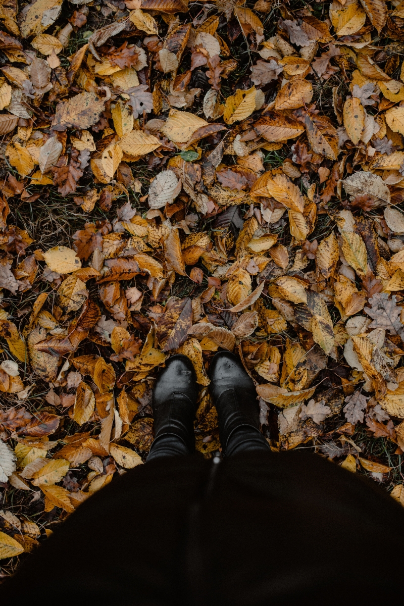 kaboompics_From Where I Stand - autumn leaves & black shoes.jpg 方案配图,色彩意境,褐色,