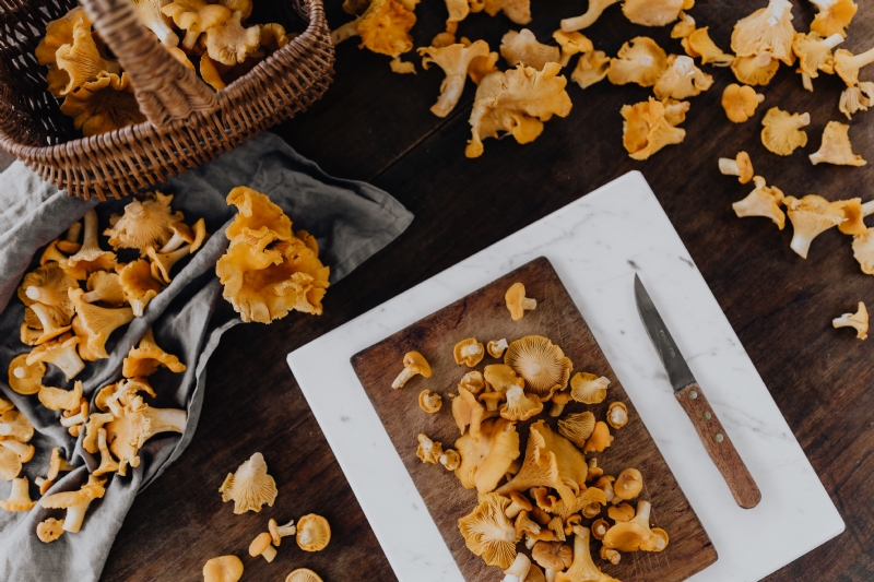 kaboompics_Picking mushrooms chantarelle in the woods.jpg 方案配图,色彩意境,褐色,