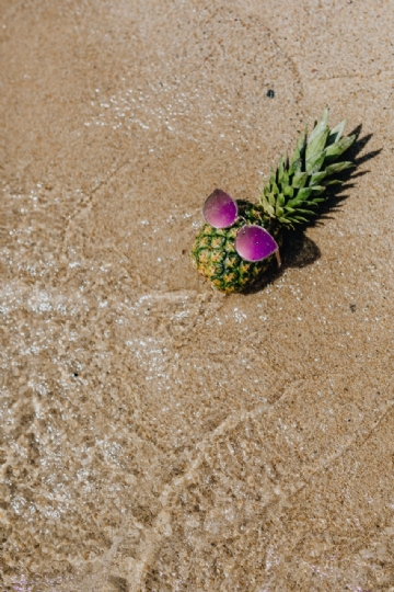 褐色 kaboompics_Pineapple on the beach-2.jpg