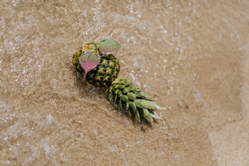 褐色 kaboompics_Pineapple with sunglasses on the beach.jpg