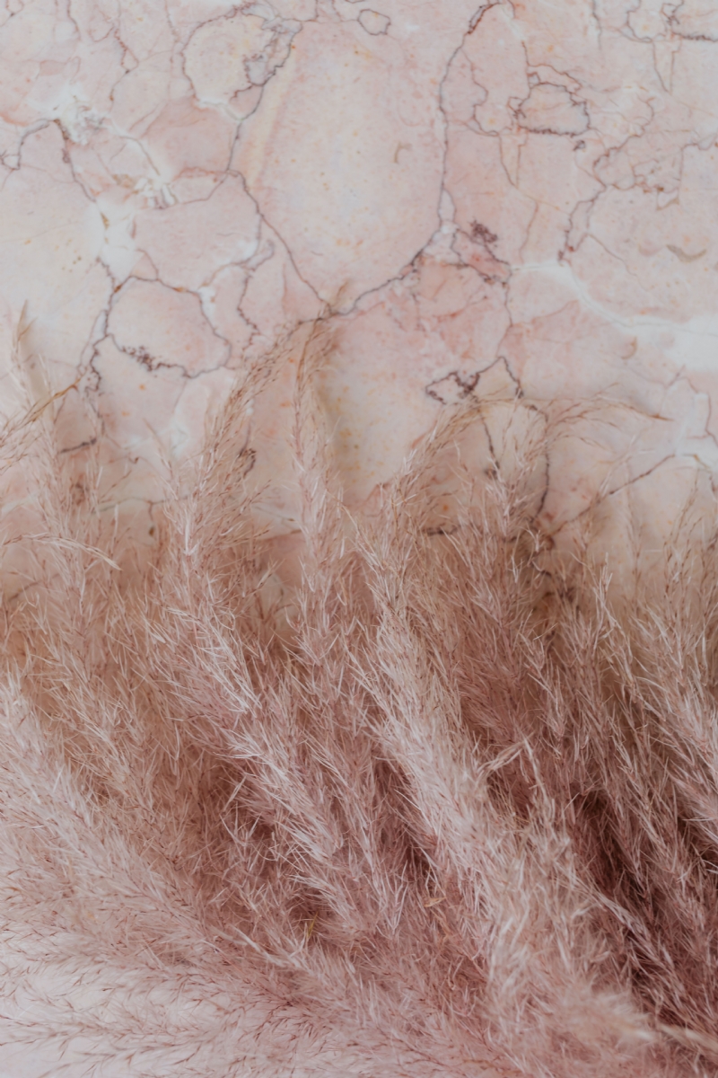 kaboompics_Pink marble background and pampas grass.jpg 方案配图,色彩意境,褐色,