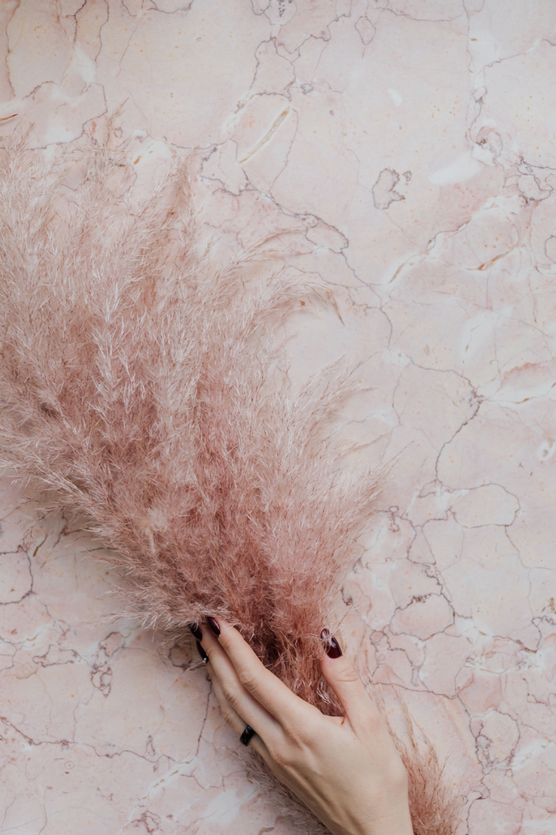 kaboompics_Pink marble background, female hand and pampas grass.jpg 方案配图,色彩意境,褐色,