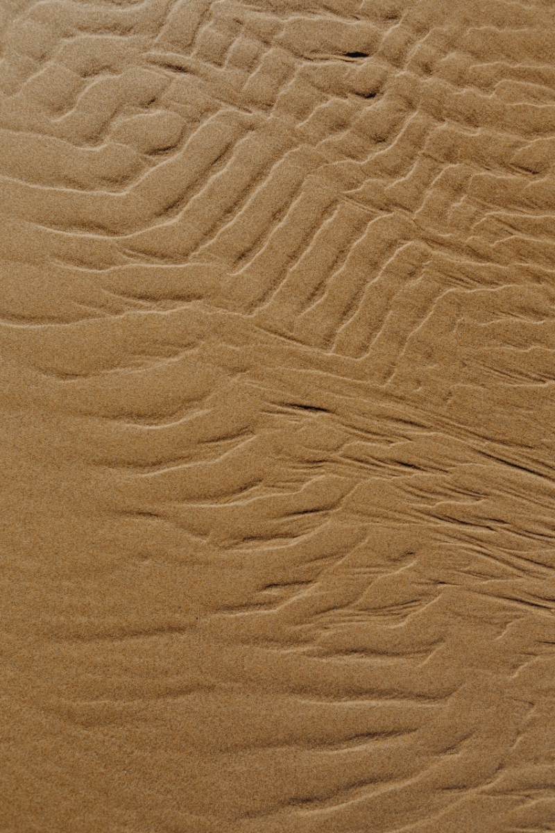 kaboompics_The abstract line designed by water up on sand texture-2.jpg 方案配图,色彩意境,褐色,