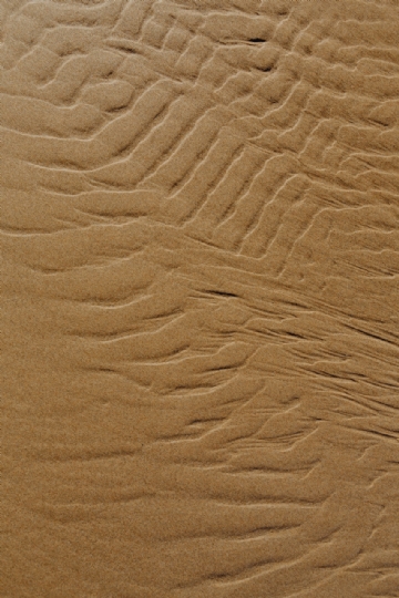 褐色 kaboompics_The abstract line designed by water up on sand texture-2.jpg