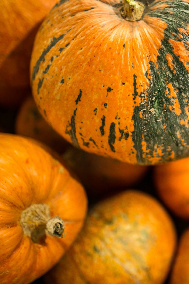 kaboompics_Close-ups of pumpkins in a wooden box.jpg 方案配图,色彩意境,黄色,