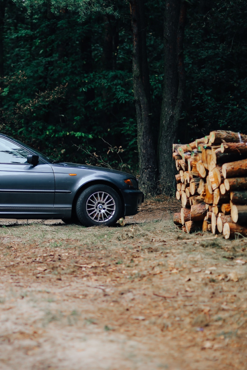 kaboompics_Car trip through fields and forests.jpg 方案配图,色彩意境,黑色,