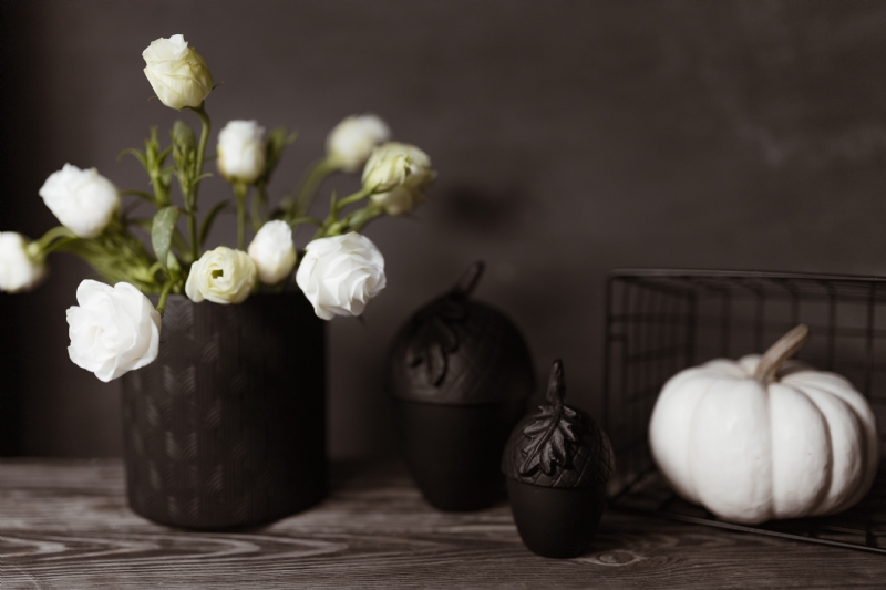 kaboompics_Dark mood home decorations with pumpkin & flowers.jpg 方案配图,色彩意境,黑色,