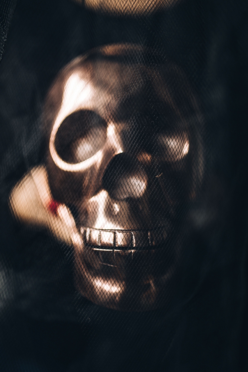 kaboompics_Metallic skull.jpg 方案配图,色彩意境,黑色,