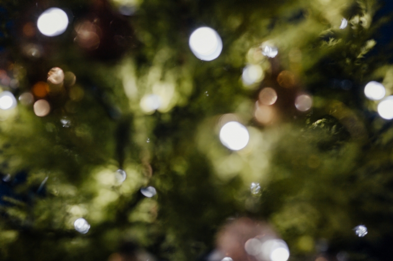 kaboompics_A blurred Christmas tree on a navy blue background.jpg 方案配图,格调渲染,唯美梦幻,