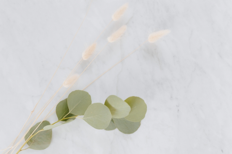kaboompics_Dried flowers and eucalyptus on white marble.jpg 方案配图,格调渲染,唯美梦幻,