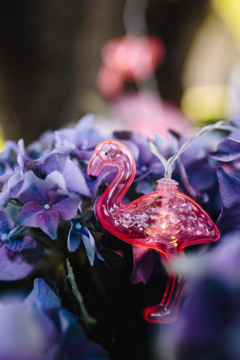 kaboompics_Flamingo light garland & pink flowers.jpg 方案配图,格调渲染,唯美梦幻,