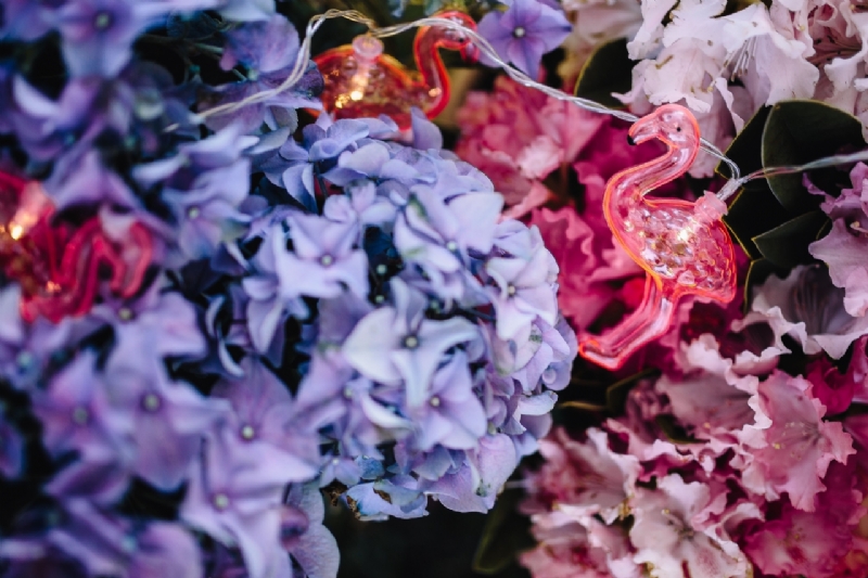 kaboompics_Flamingo light garland & pink flowers-2.jpg 方案配图,格调渲染,唯美梦幻,