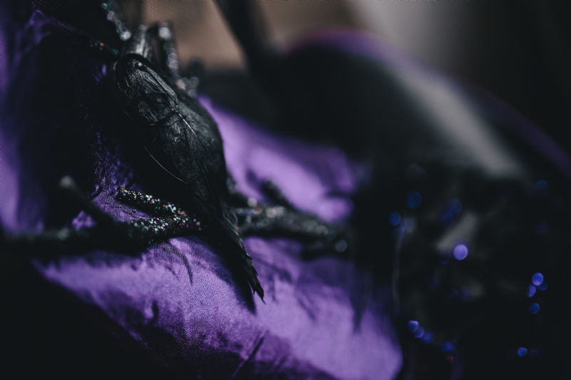 kaboompics_Halloween witch hat in fiolet color.jpg 方案配图,格调渲染,唯美梦幻,