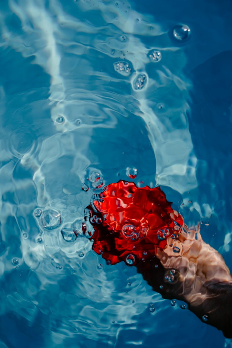 kaboompics_Hand & fresh garden rose on the blue water of a swimming pool.jpg 方案配图,格调渲染,唯美梦幻,
