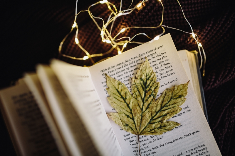 kaboompics_Leaf, book, fairy lights.jpg 方案配图,格调渲染,唯美梦幻,