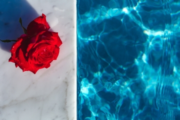 唯美梦幻 kaboompics_Marble & fresh garden rose on the blue water of a swimming pool.jpg