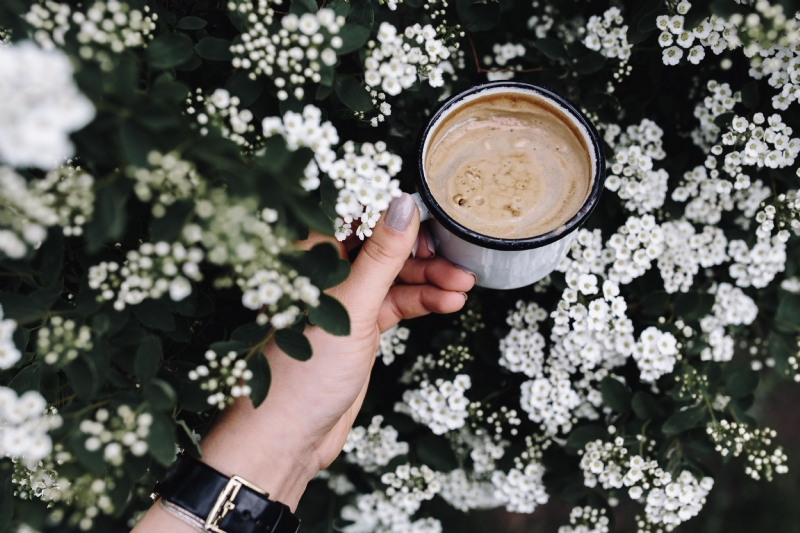 kaboompics_Morning coffee outdoors in the garden.jpg 方案配图,格调渲染,唯美梦幻,