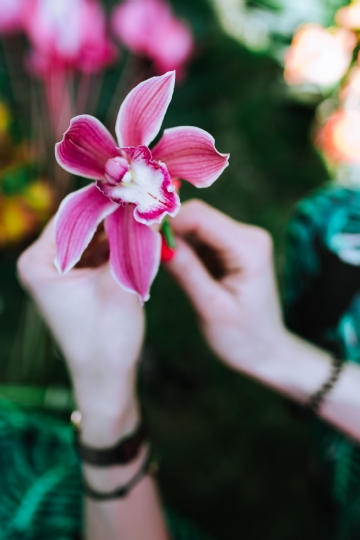 唯美梦幻 kaboompics_Orchid flower in female hands.jpg