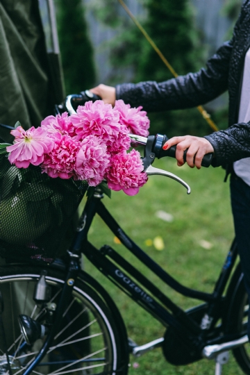 唯美梦幻 kaboompics_Woman holding a bicycle with beautiful pink flowers in the basket.jpg