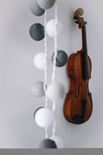 典雅高贵 kaboompics_Violin on a white wall.jpg