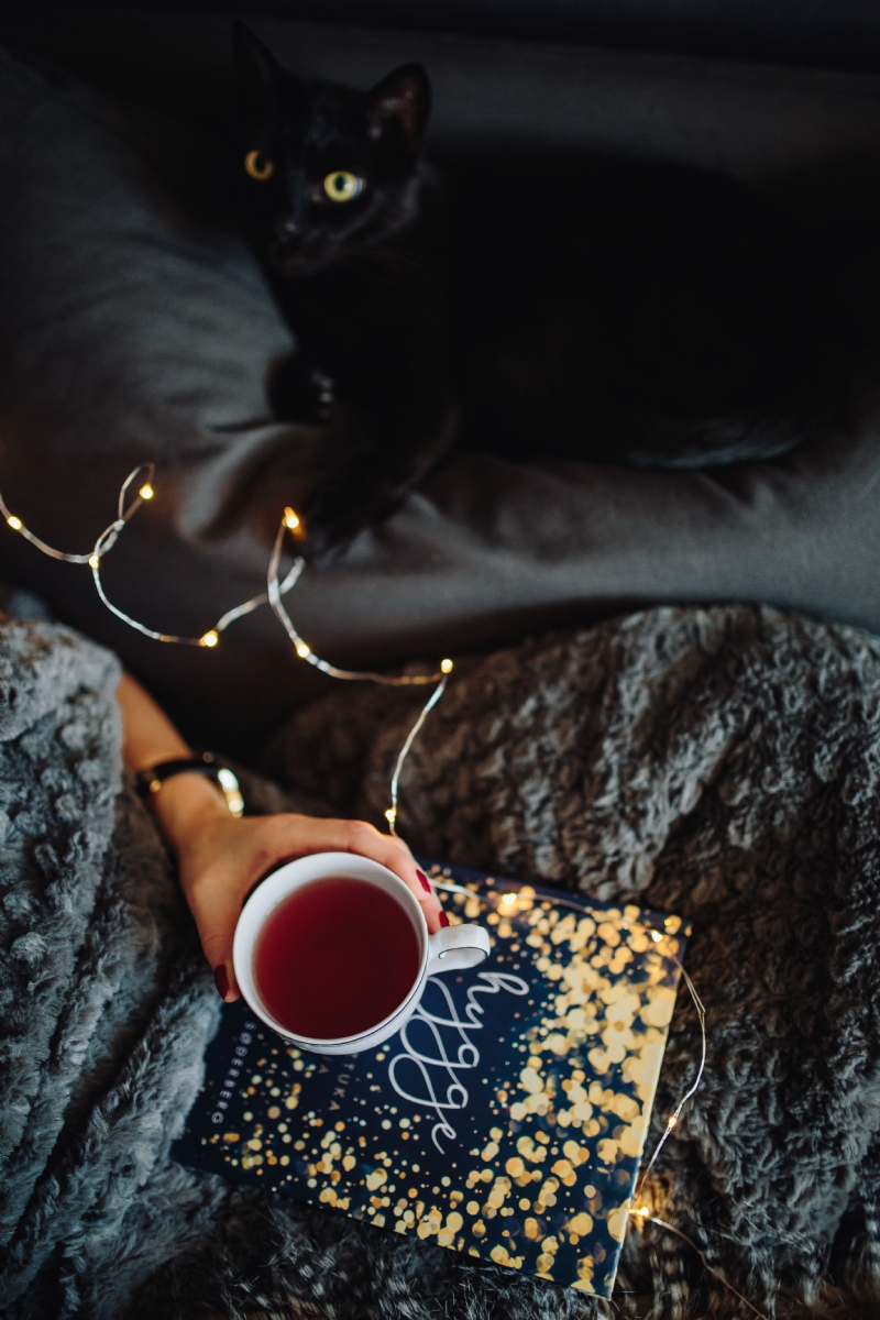 kaboompics_Young woman with black cat reading Hygge book and drinking coffee or tea.jpg 方案配图,格调渲染,典雅高贵,