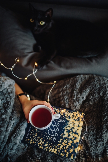 典雅高贵 kaboompics_Young woman with black cat reading Hygge book and drinking coffee or tea.jpg