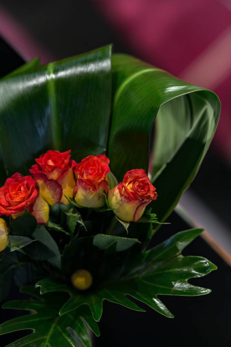 kaboompics_Close-up of little red and yellow roses.jpg 软装参考,花艺搭配,西方风格,