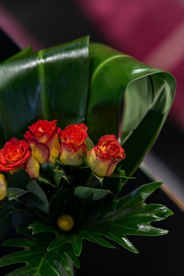 软装参考 kaboompics_Close-up of little red and yellow roses.jpg