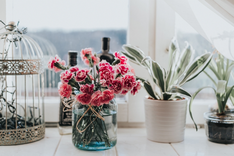 kaboompics_Pink flowers and plants.jpg 软装参考,花艺搭配,西方风格,