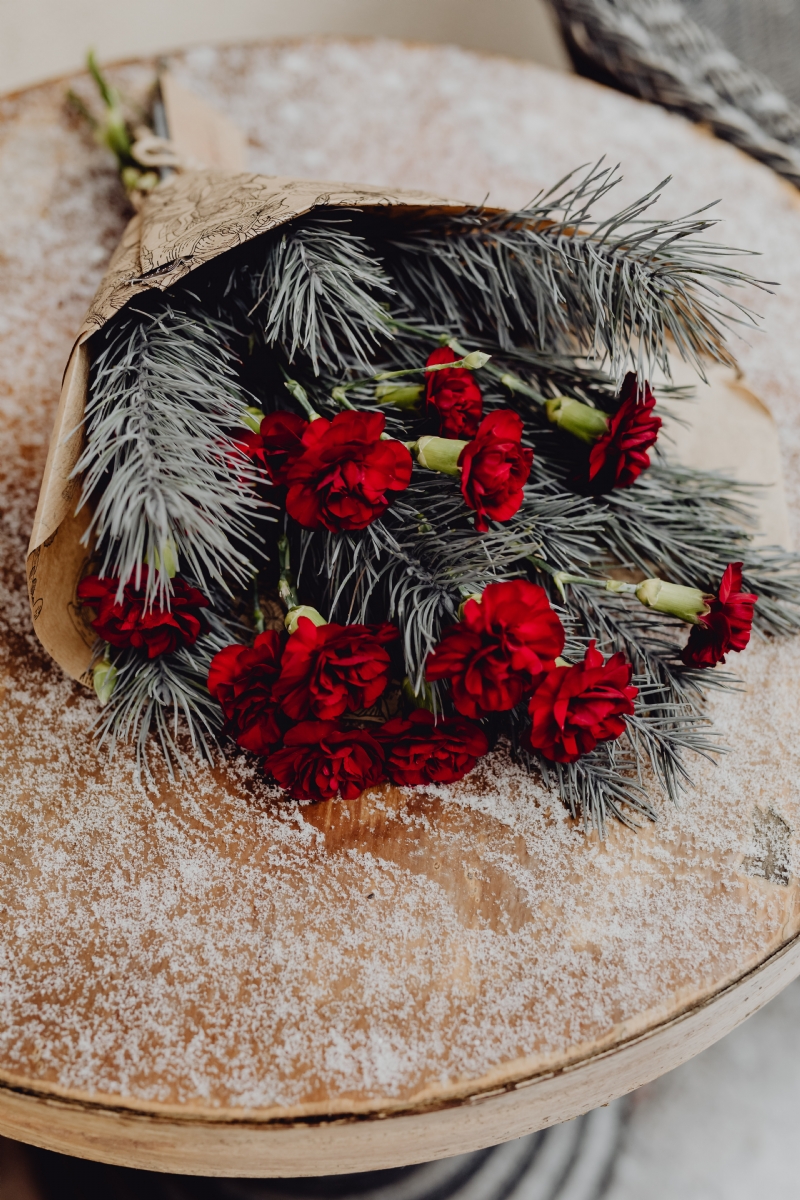 kaboompics_Winter bouquet with red carnations and pine.jpg 软装参考,花艺搭配,西方风格,