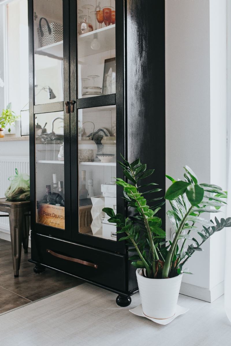 kaboompics_Black cupboard with a green plant.jpg 参考素材,灯光参考,过道,