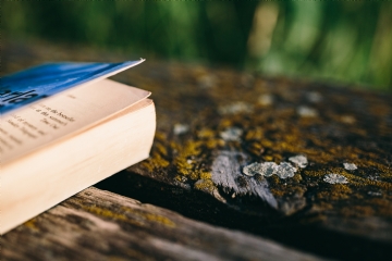 阅读 kaboompics_Reading book at lake.jpg