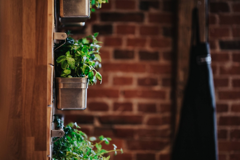 kaboompics_Fancy interior with a red brick wall and green plants.jpg 建筑参考,局部元素,室内装饰,