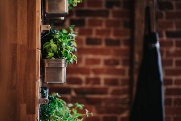 室内装饰 kaboompics_Fancy interior with a red brick wall and green plants.jpg