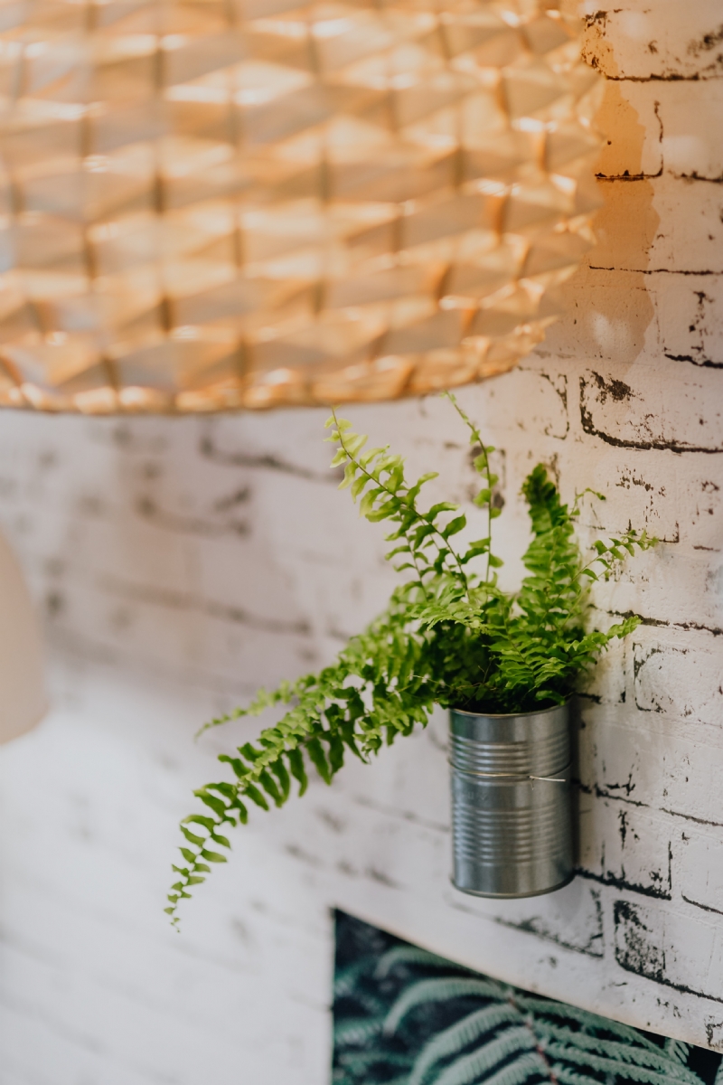 kaboompics_Fern in recycled can.jpg 建筑参考,局部元素,室内装饰,