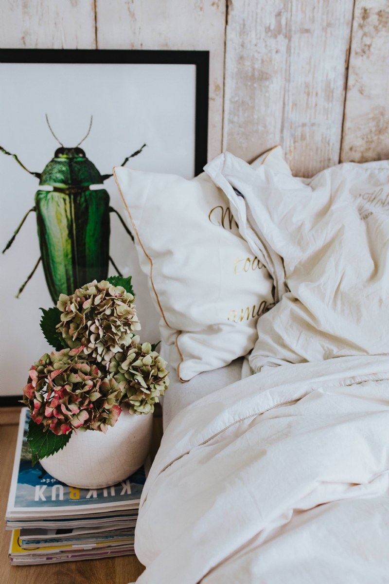 kaboompics_White bed sheets with a picture of a green beetle and a pot plant on a stack of magazines.jpg 家装参考,卧室,现代风格,