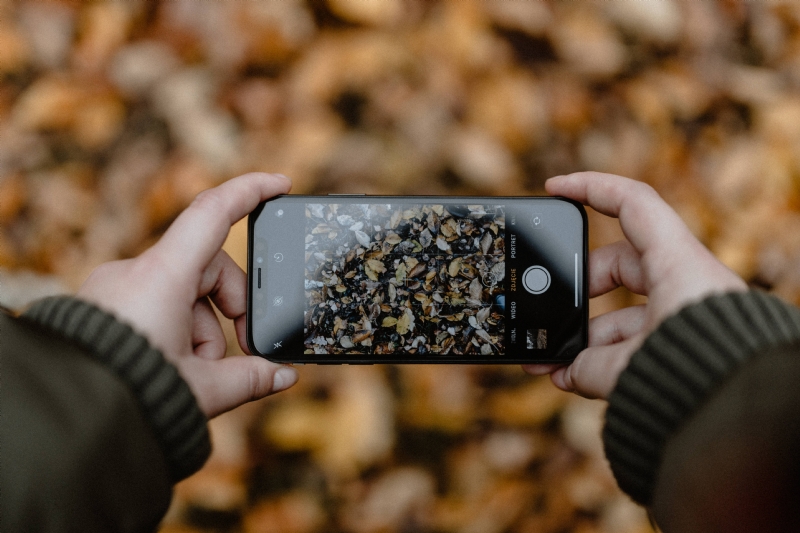 kaboompics_A woman takes a picture with her iPhone X in the autumn forest.jpg 方案配图,客户爱好,摄影,