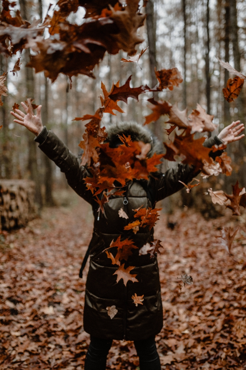 kaboompics_A woman throws up the autumn brown leaves.jpg 方案配图,客户爱好,摄影,