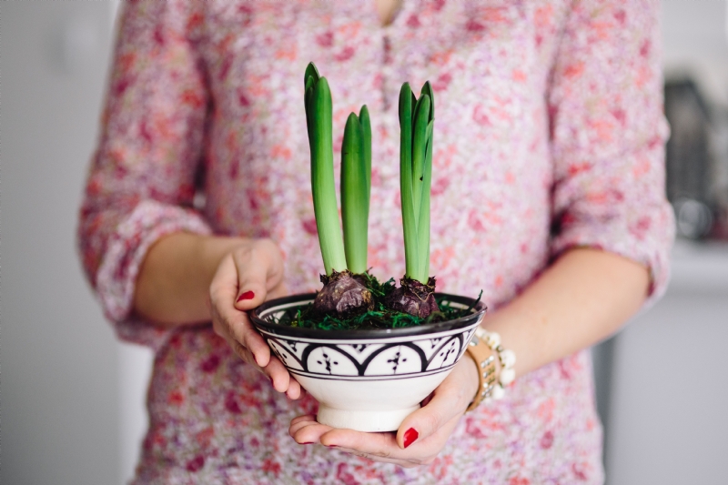 kaboompics_Woman in pink holding a plant.jpg 方案配图,客户爱好,摄影,