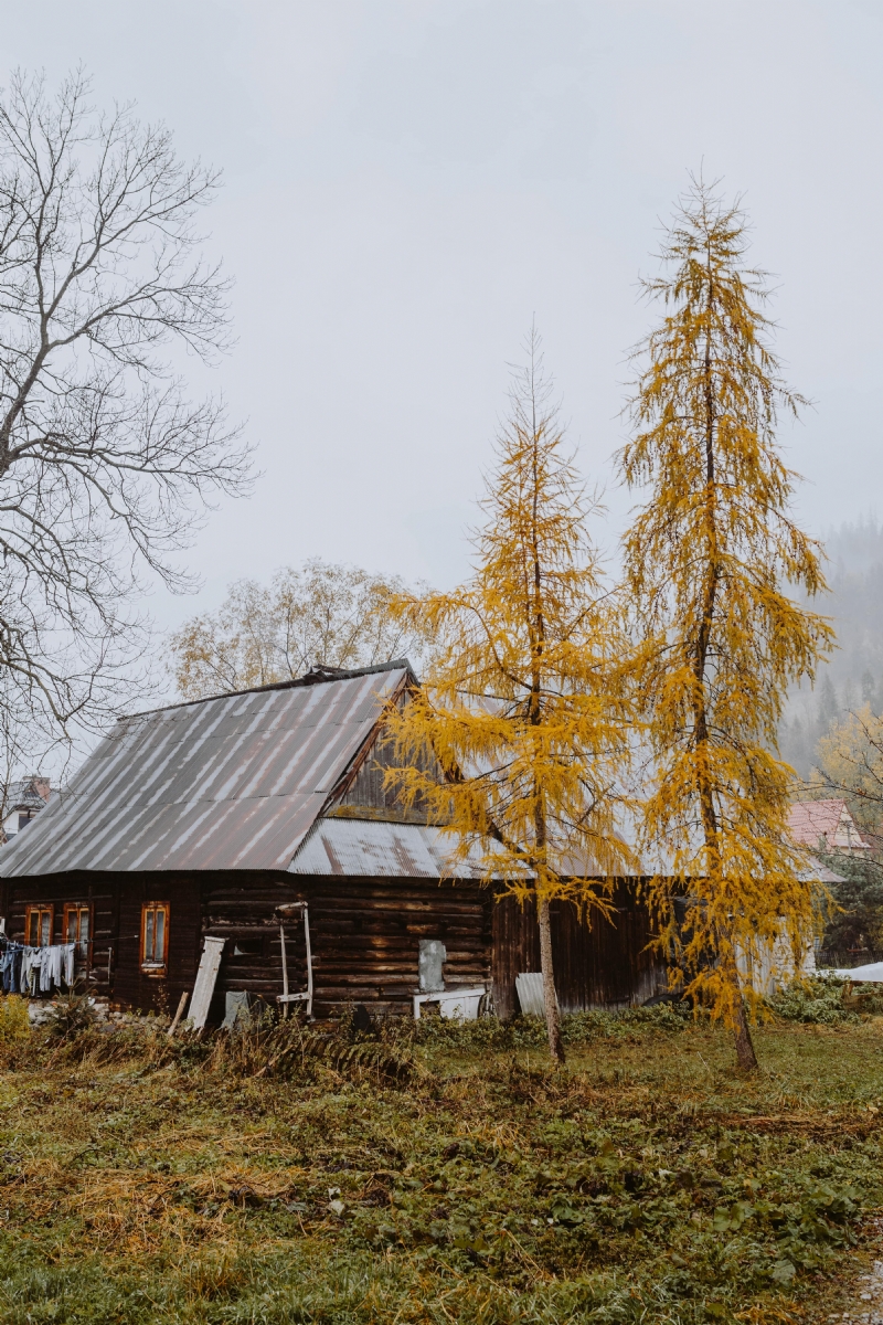 kaboompics_Old wooden houses in the mountains in autumn.jpg 建筑参考,住宅建筑,独栋别墅,