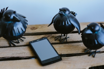 软装参考 kaboompics_Little black plastic birds with a smartphone on a shelf.jpg