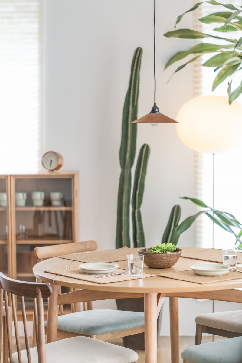 contemporary-daylight-dining-room-154161.jpg 家装参考,餐厅,乡村风格,