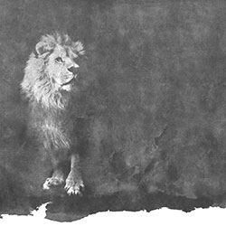 狮子-原创定制壁画 murals 张杉杉 OCTIVIA