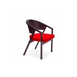 谢尔顿民德软垫扶手椅 shelton mindel arm chair with upholstered seat Shelton Mindel & Associates Shelton Mindel & Associates